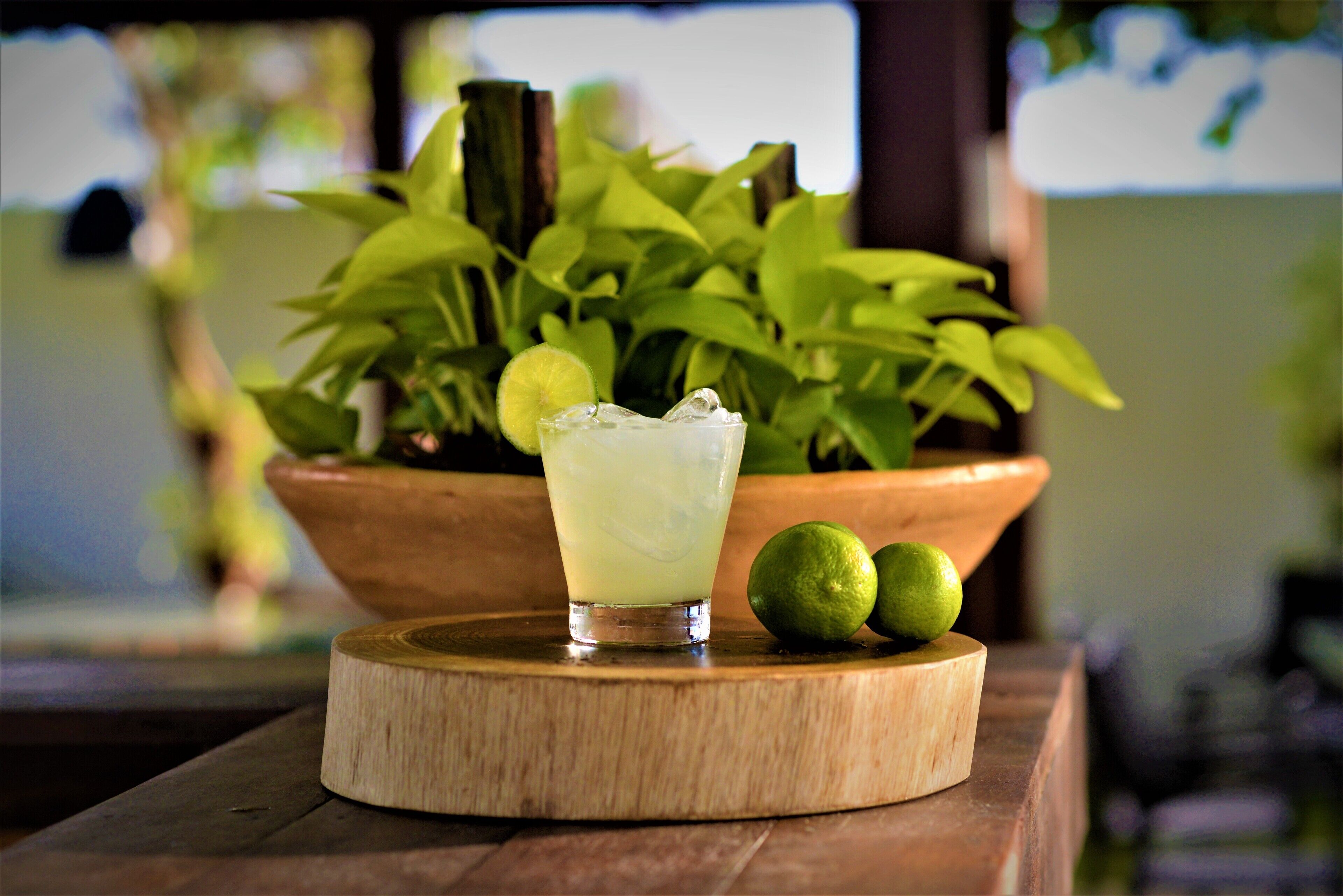 A glass of a light-colored beverage with a lime wedge, two limes, and ice cubes on a wooden board, with a potted plant in the background.