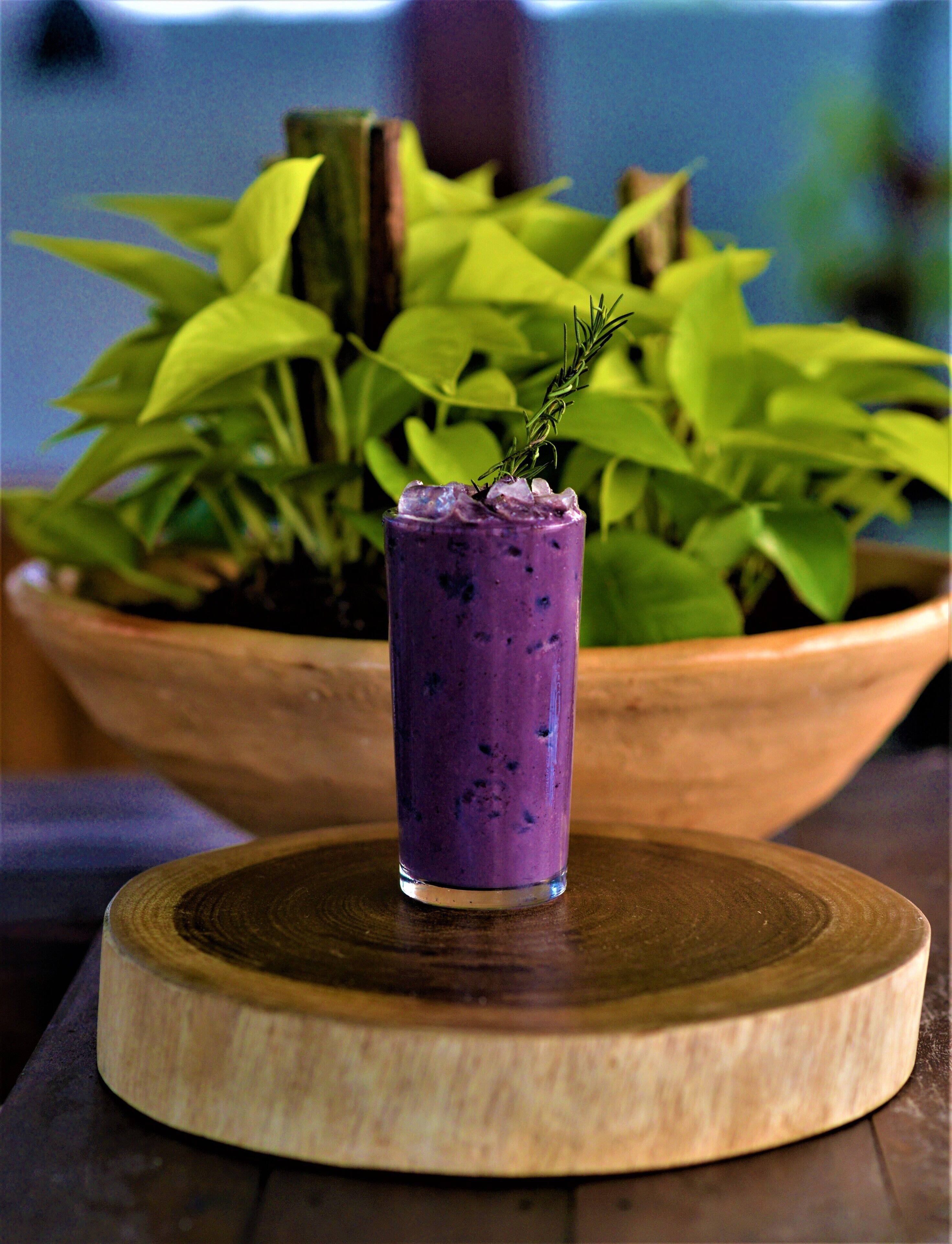 Foto - Pousada Spadart