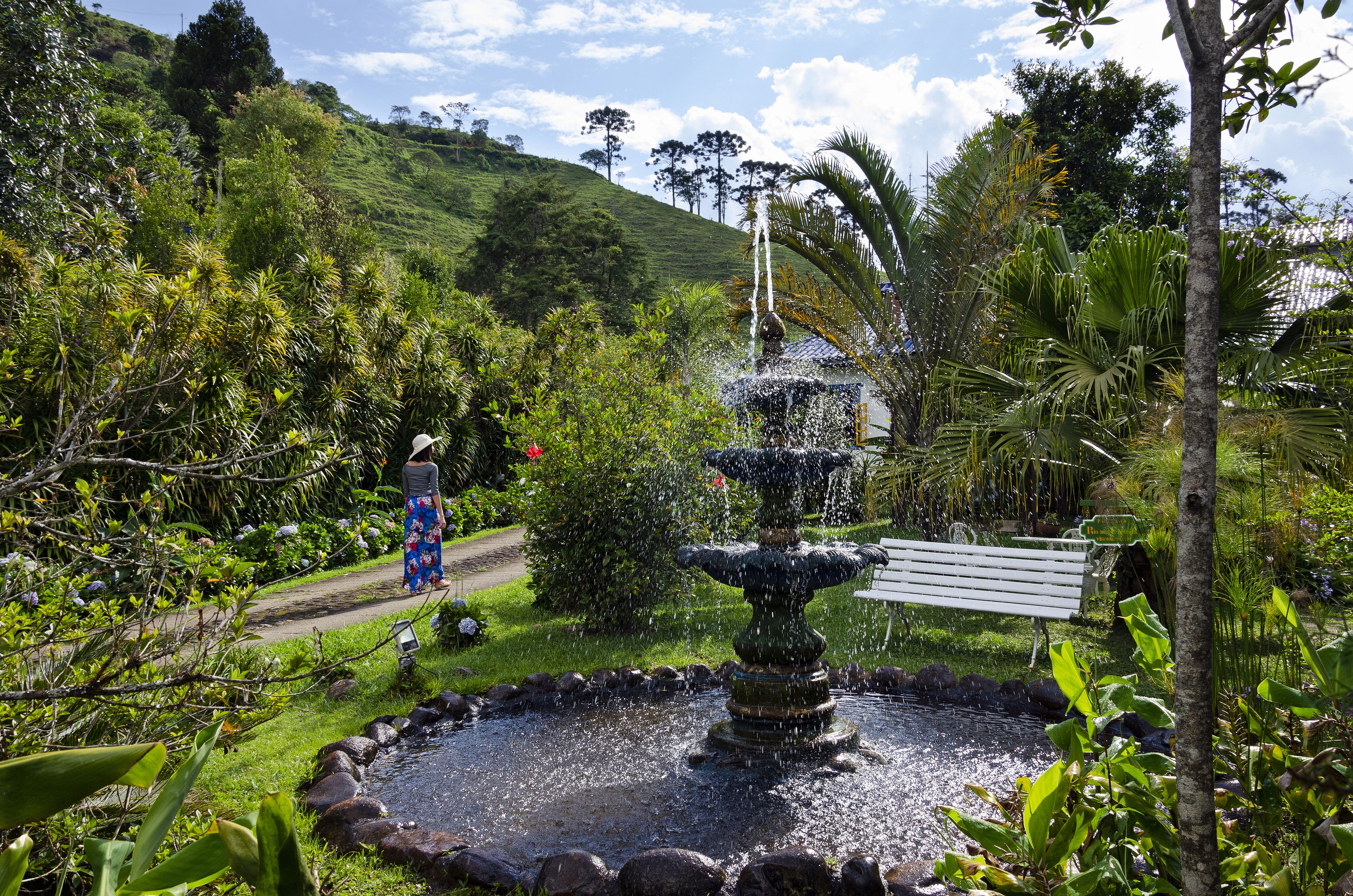 Un jardín con una fuente, un banco y un camino.