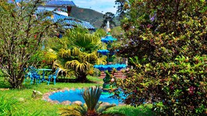 Ein Garten mit Springbrunnen, Palmen und einem kleinen Teich.