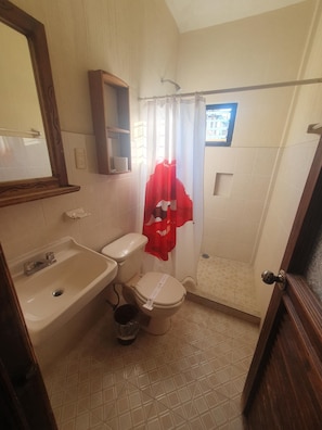Triple Room | Bathroom | Shower, free toiletries, hair dryer, towels