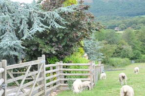 View from property - Shepherds Hut (Shrewsbury)