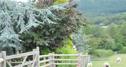 Shepherds Hut