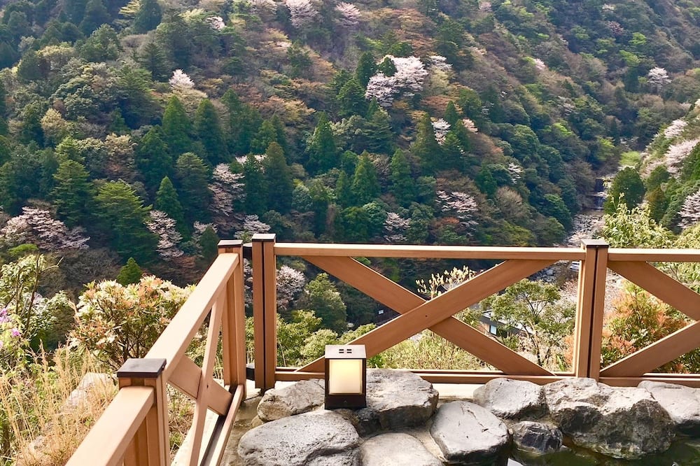 Hotel Yunomoto