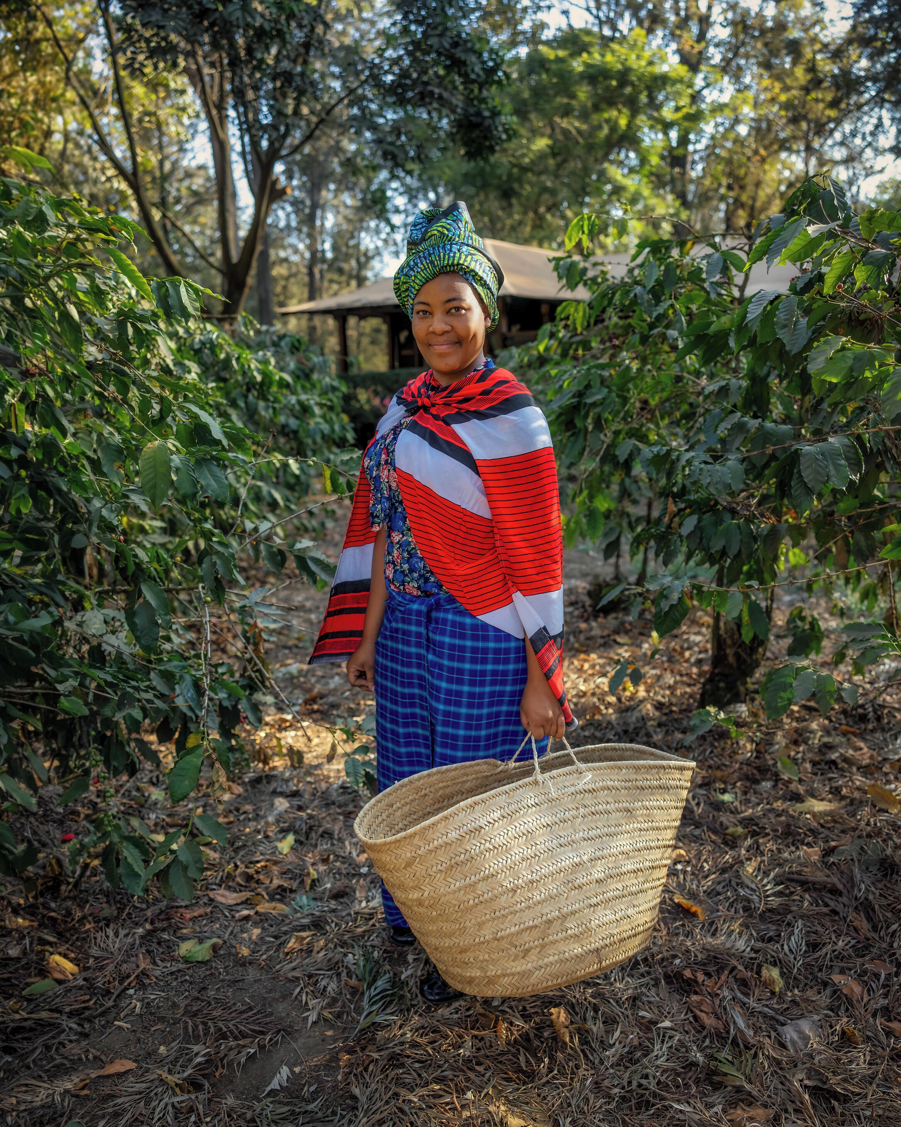 Une personne vêtue d’une tenue à motifs, tenant un panier tressé dans un jardin, avec des arbres et un bâtiment en arrière-plan.