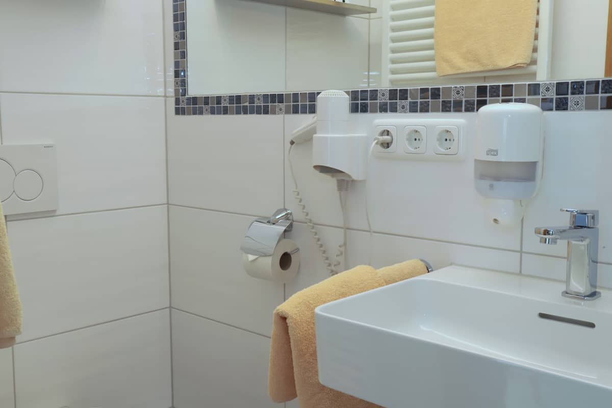 shower, free toiletries, hair dryer, towels