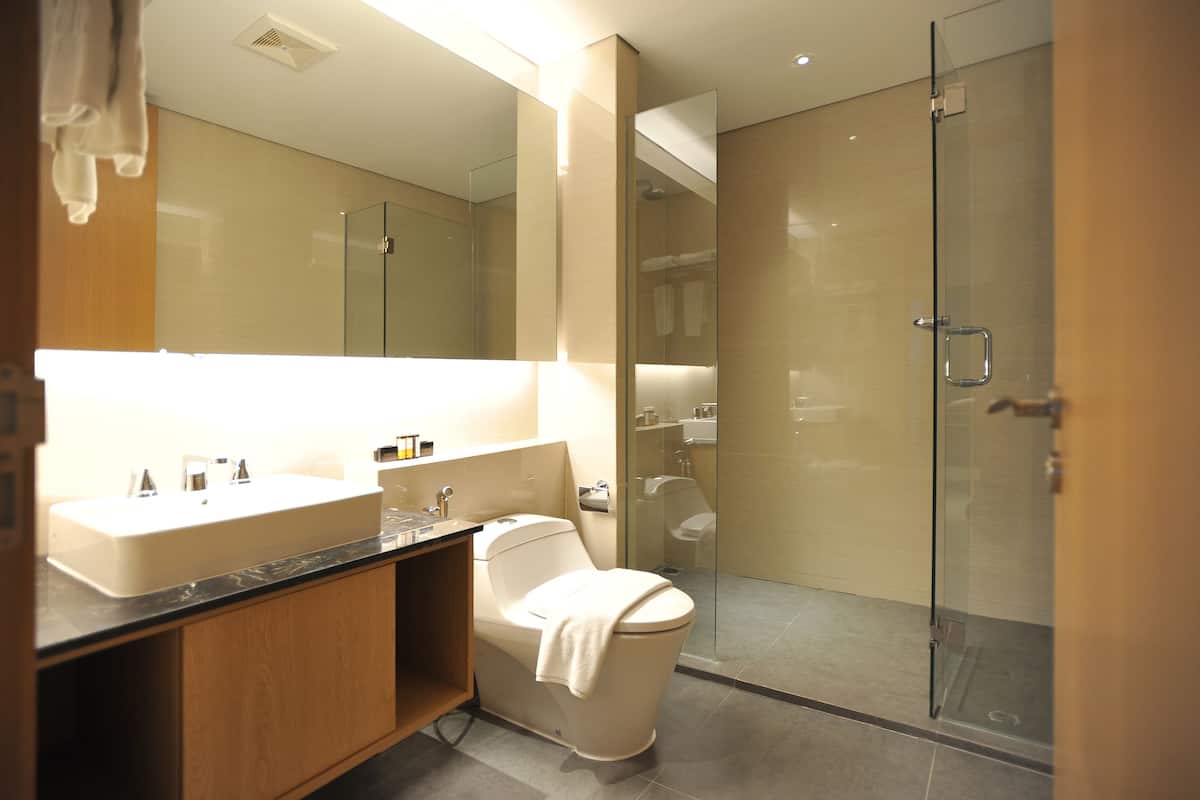 shower, free toiletries, hair dryer, slippers