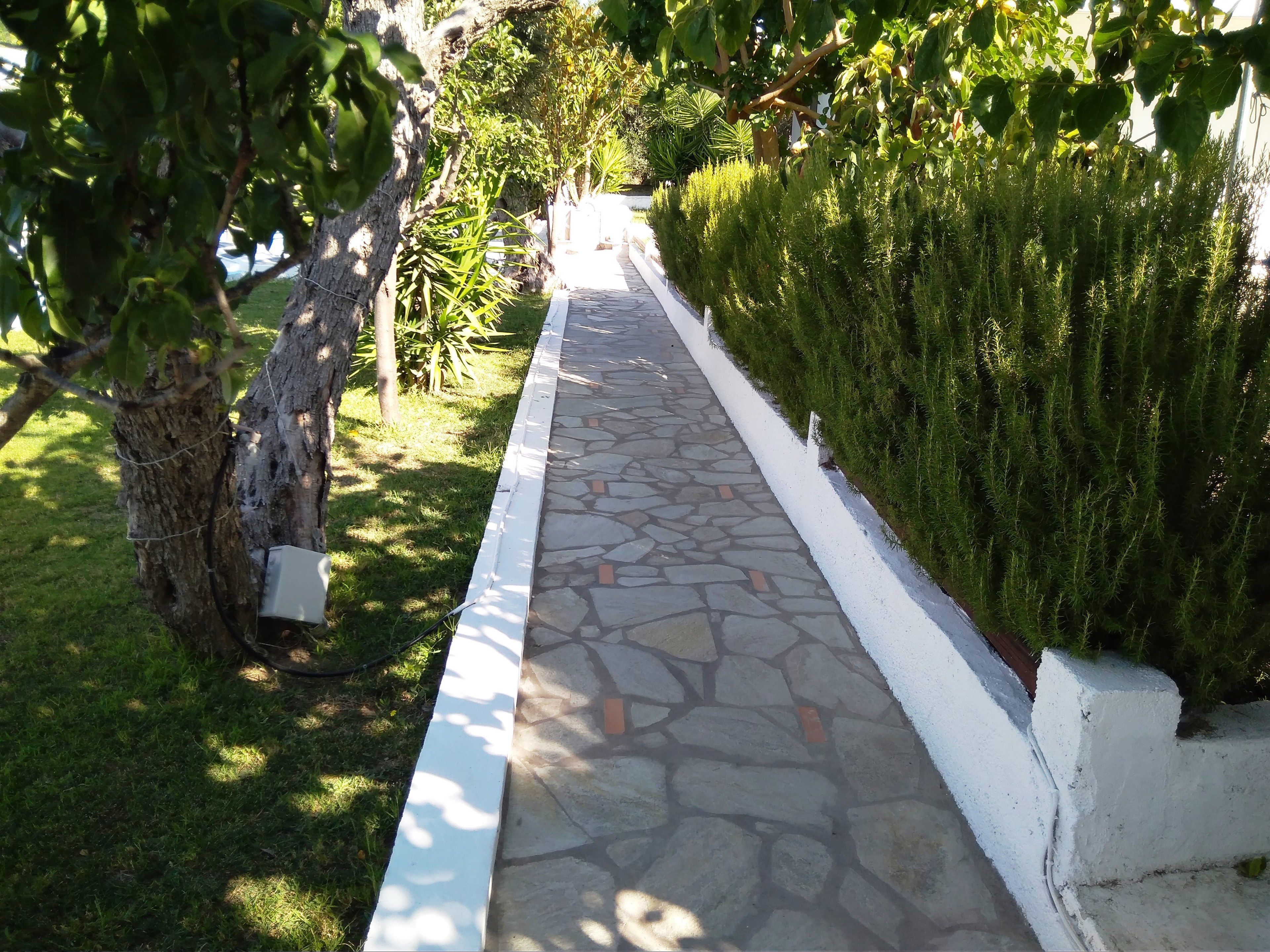 A stone pathway bordered by white-painted edges, flanked by lush green hedges and a tree with a visible electrical box.
