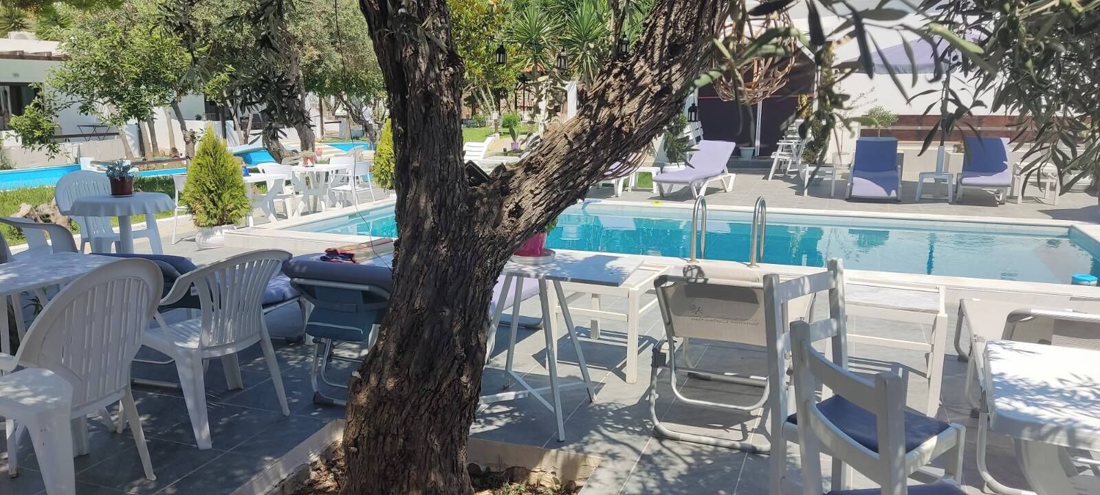 Ein Poolbereich mit Liegestühlen und Tischen, ein Schwimmbecken und ein Baum im Vordergrund.