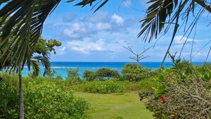 A lush garden with a pathway leading to a view of the ocean. - Nagahama Beach Resort Kanon (Nakijin)