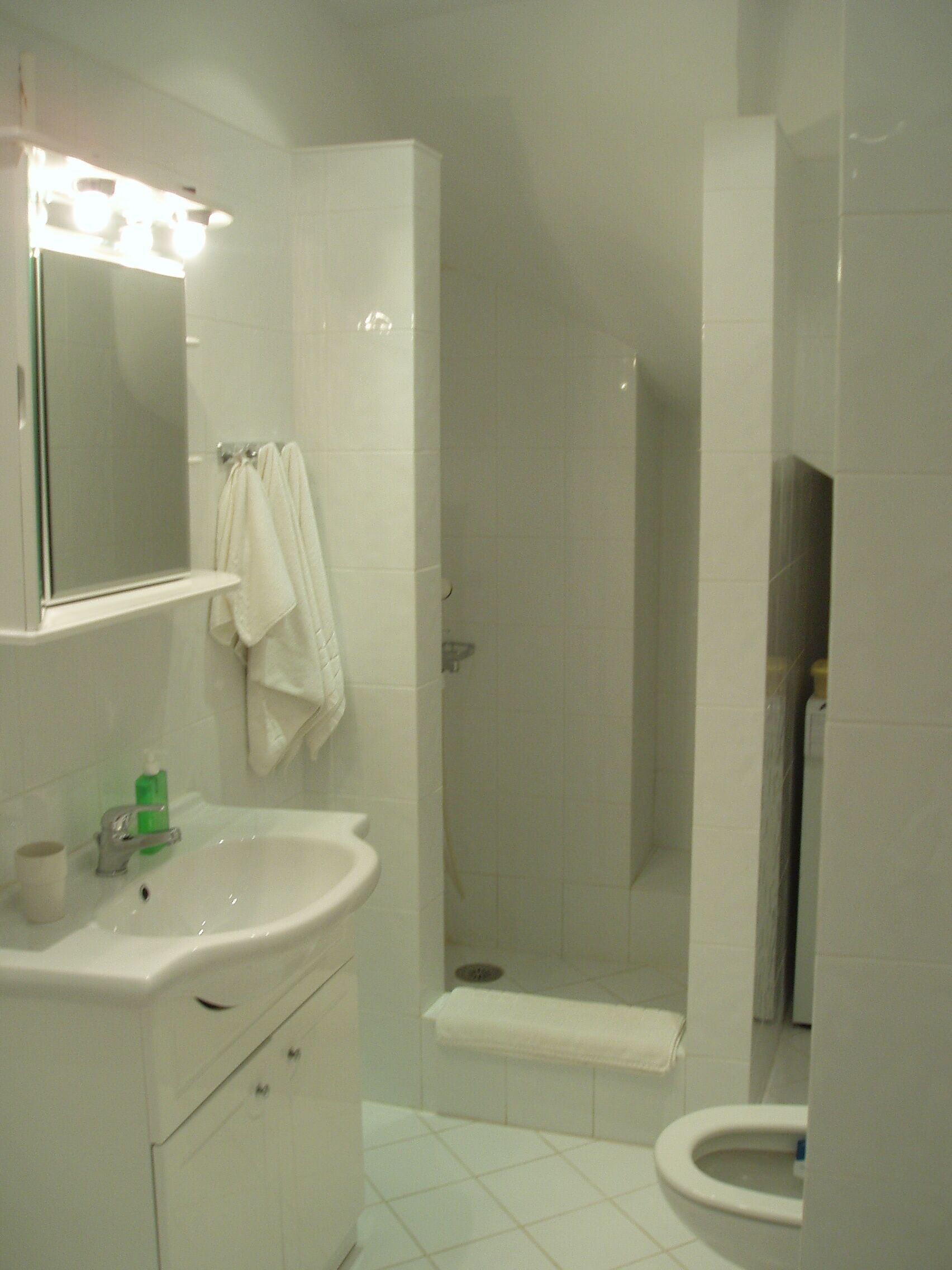 Une salle de bain équipée d’un lavabo, d’un miroir et d’un espace douche.