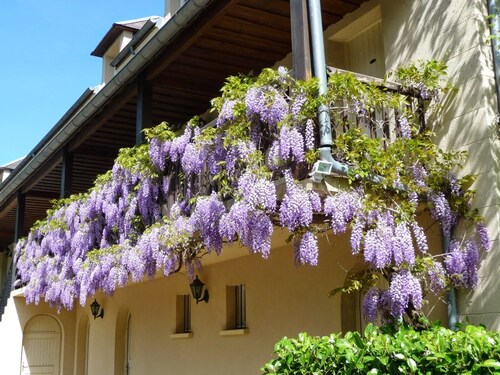 Château De Puy Robert