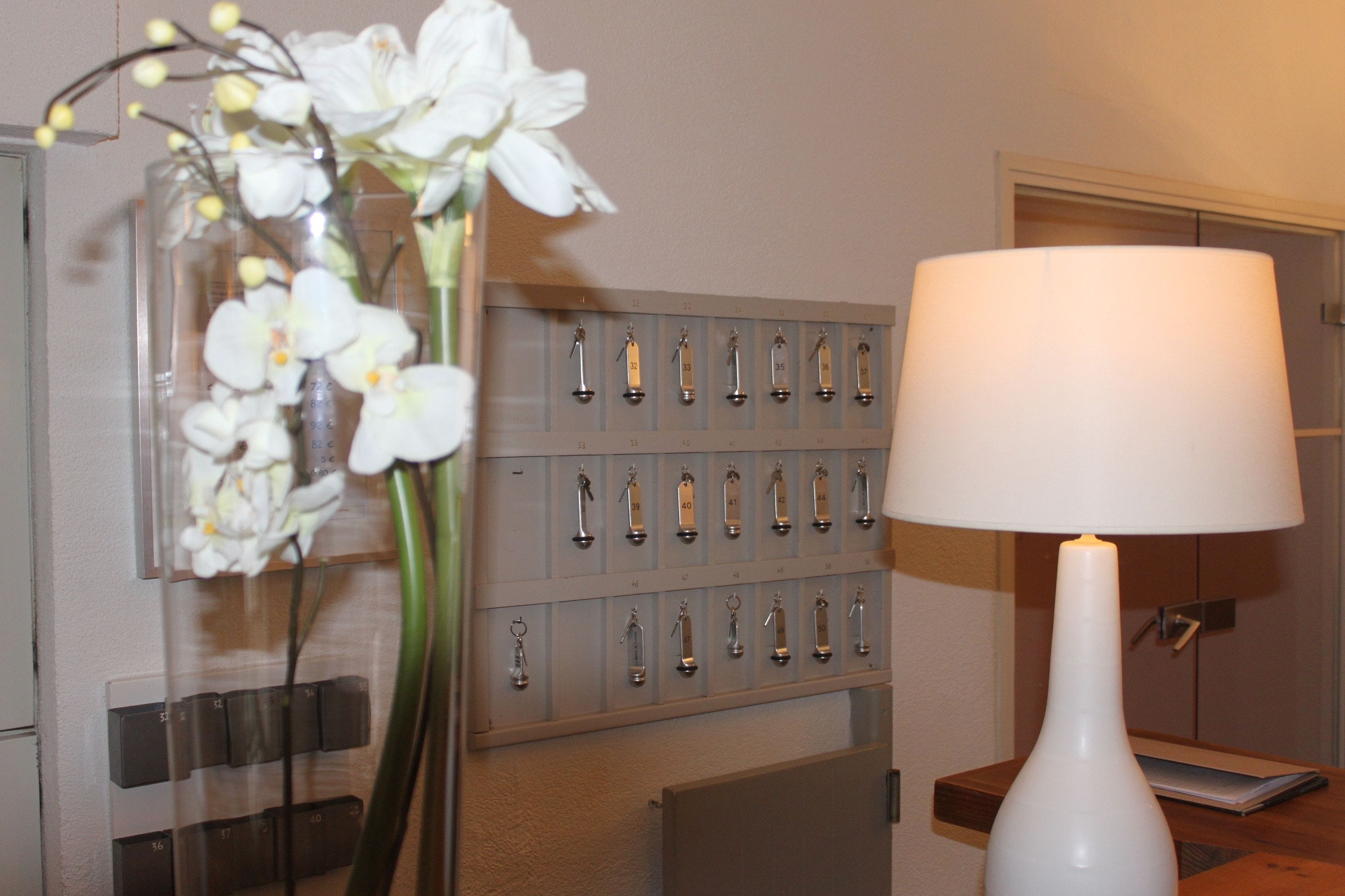 A room with a white lamp, a key rack, and a vase with white flowers.