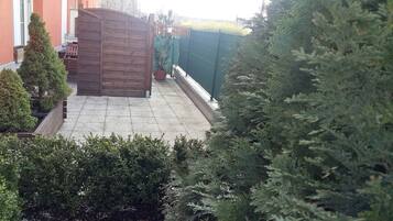 A courtyard with a wooden gate, potted plants, and a green fence.