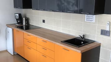Apartamento familiar, 1 habitación, balcón | Cocina privada | Frigorífico, microondas, horno y placa de cocina