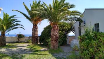 A garden with palm trees and a white building with a balcony.