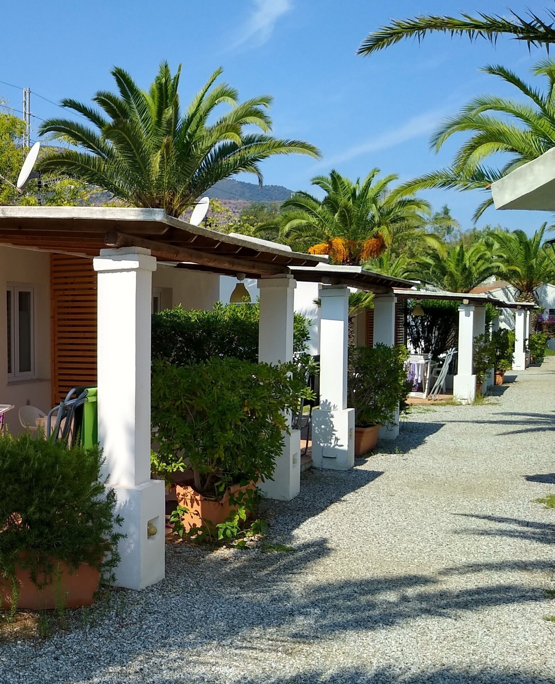 A row of white-pillared buildings with a gravel pathway, surrounded by lush greenery and palm trees.
