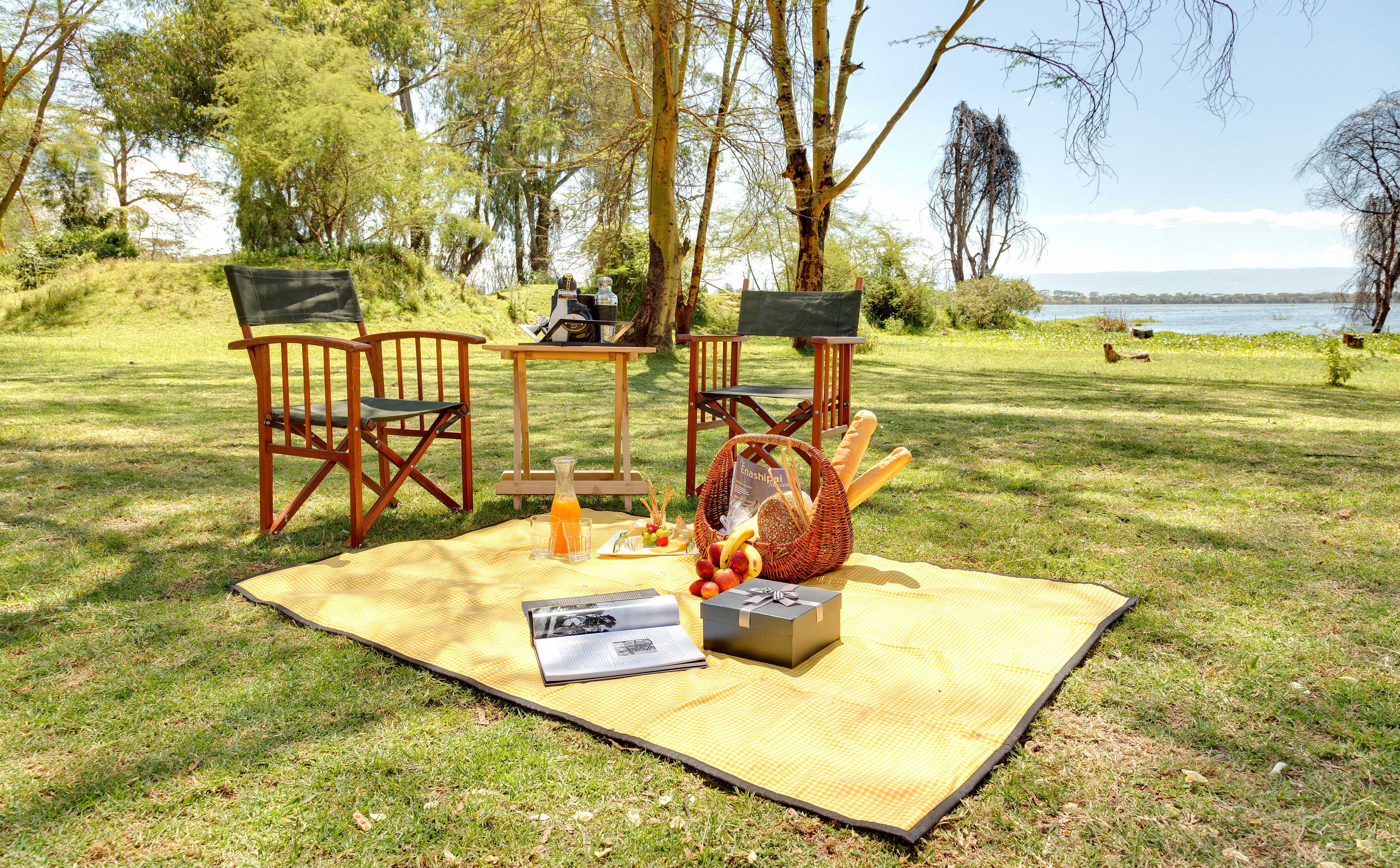 A picnic setup with a checkered blanket, wooden chairs, a table with a bottle, a basket with fruits, and a book.