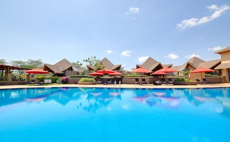 Una piscina al aire libre, sombrillas, sillones reclinables de piscina