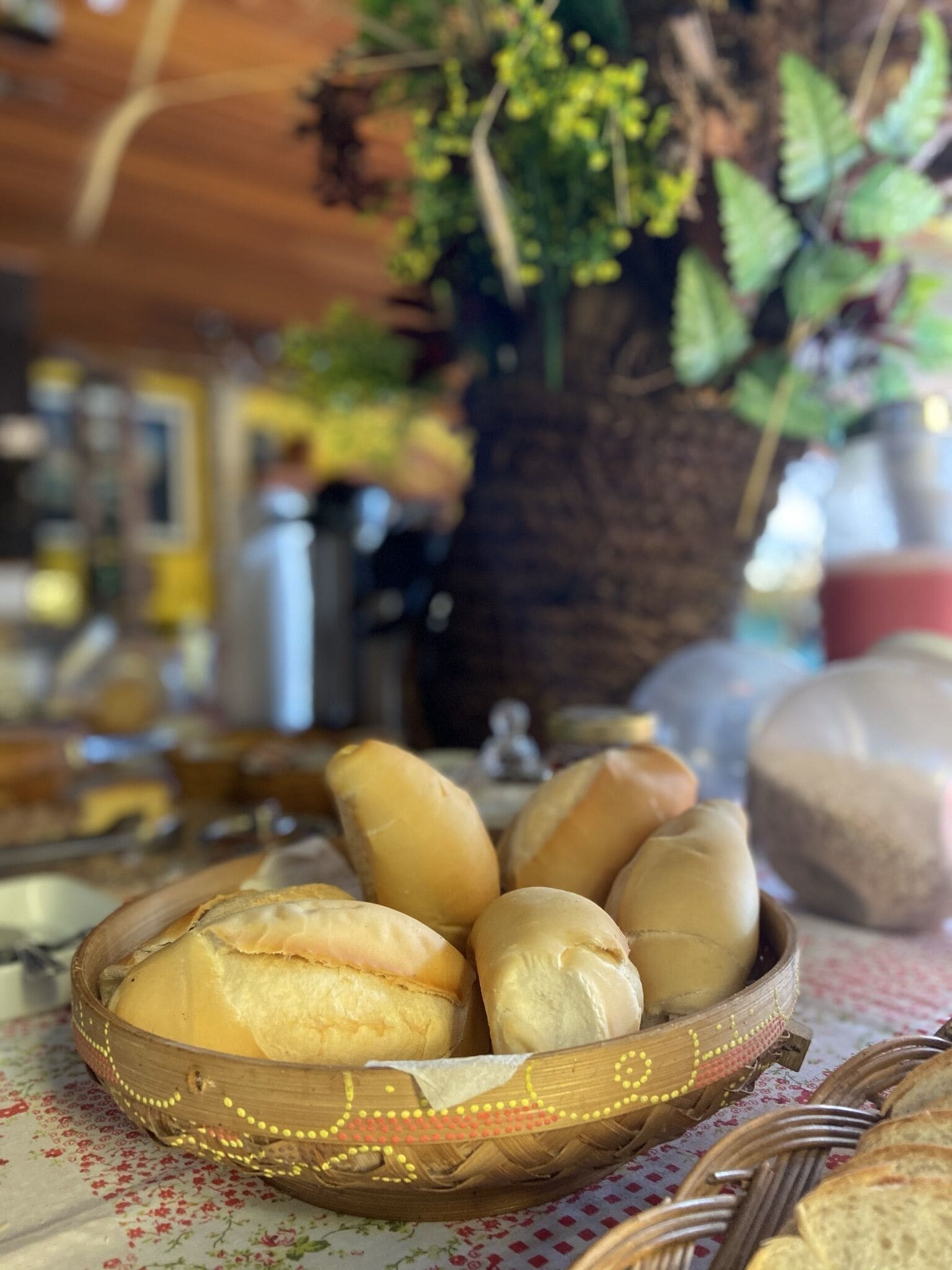 Foto - Morada do Aventureiro