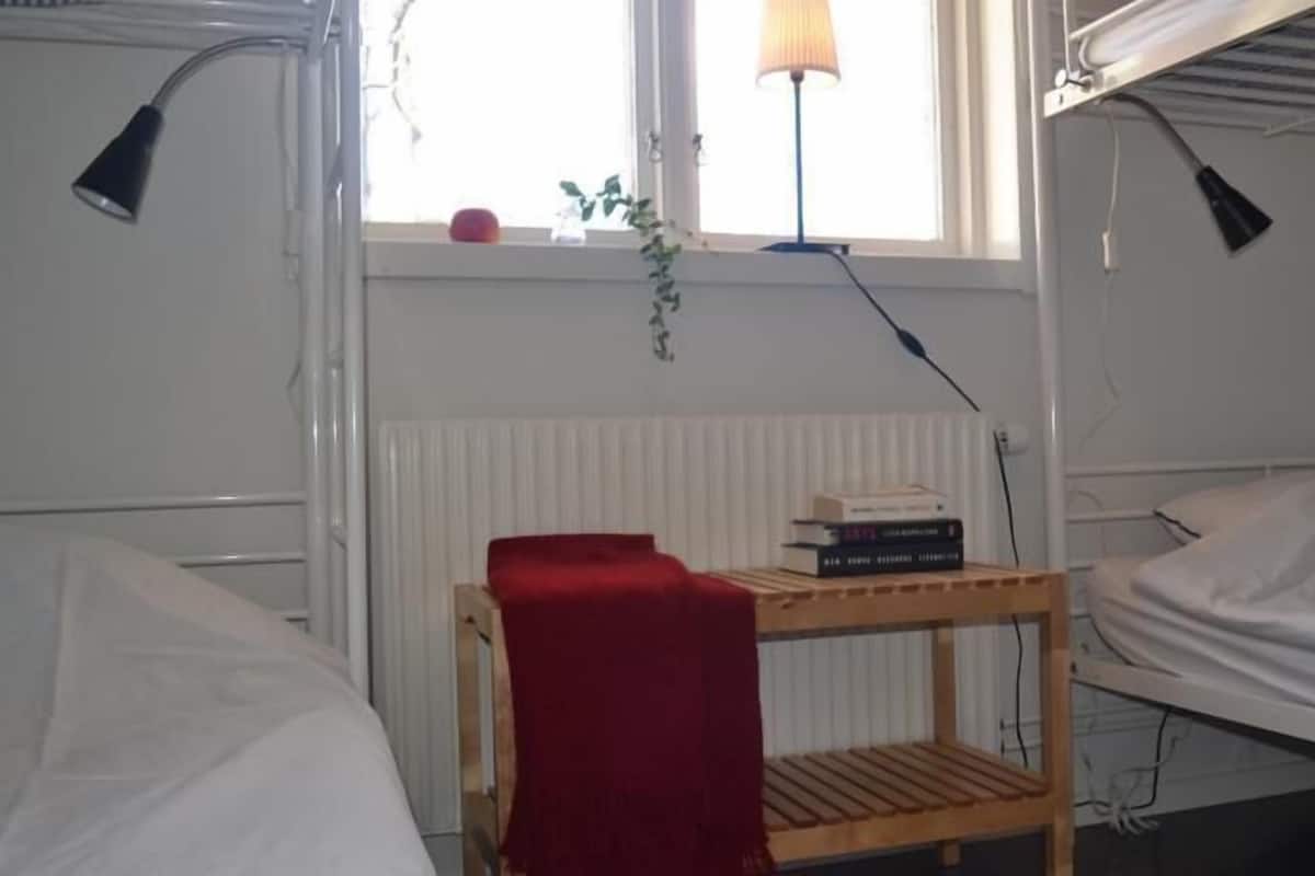 Habitación tipo dormitorio con dos camas, una pequeña mesa de madera con libros, una silla roja, un radiador y una ventana con una planta.