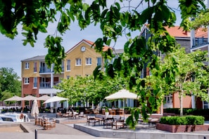 Terras
