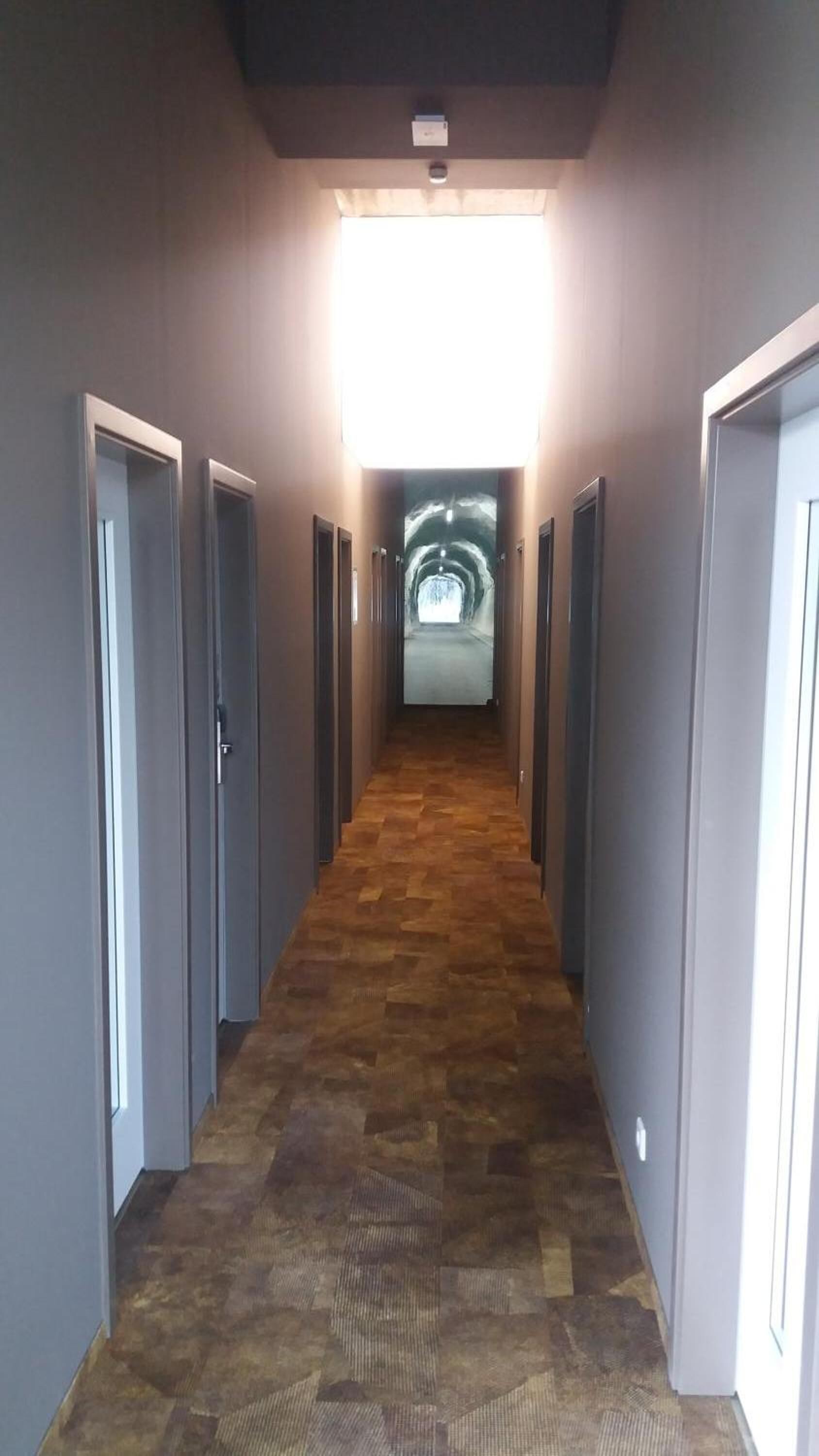 Un pasillo con alfombra estampada, puertas a ambos lados y una luz brillante al final.
