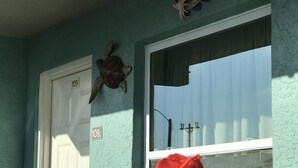 A teal-painted exterior wall with a white door marked '109', a window with a red rose, and a decorative turtle on the wall. - Immokalee Inn (Immokalee)