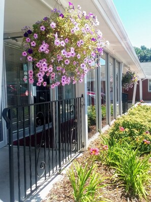 A house with a covered porch, a hanging flower basket, and a garden with various plants.