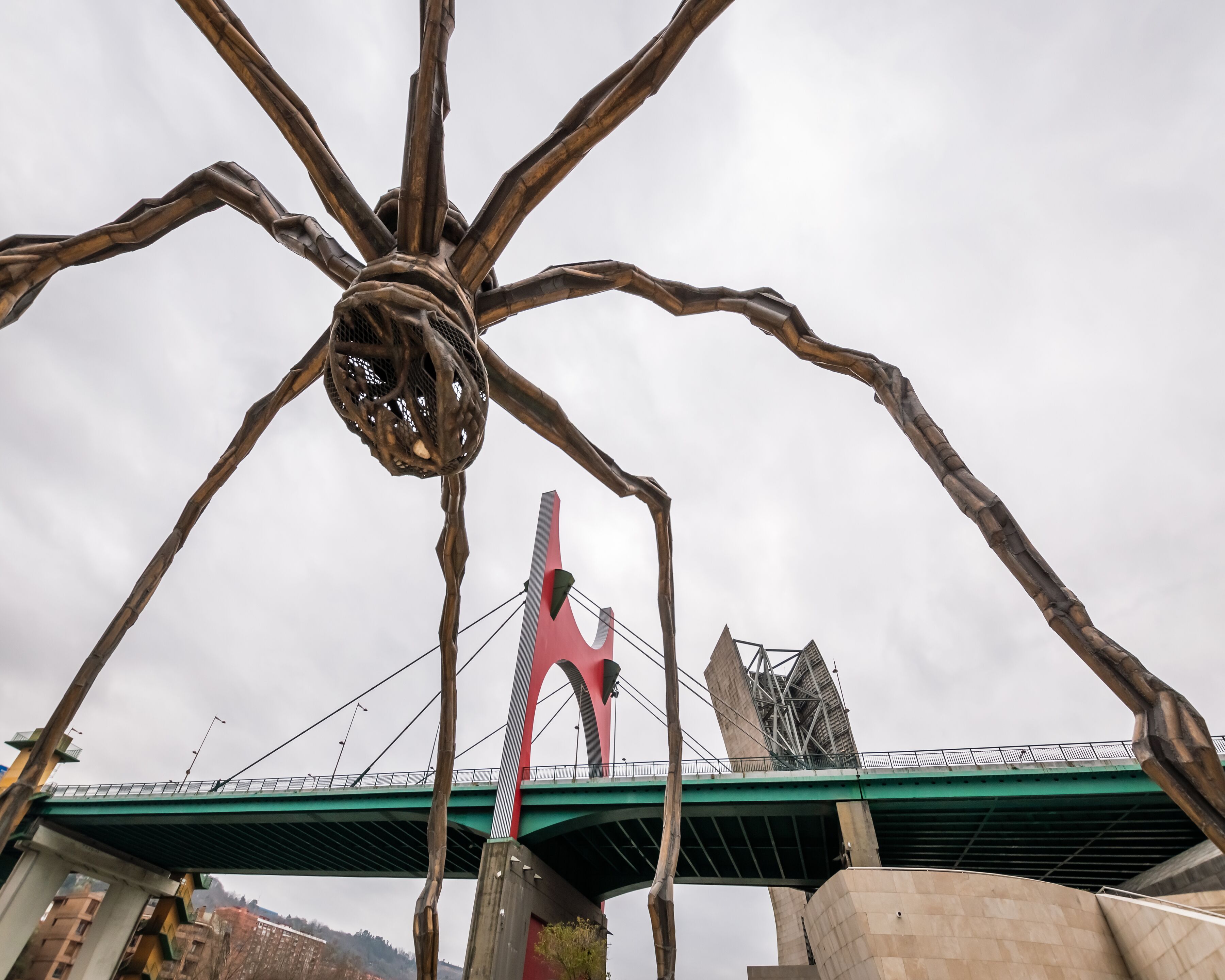 Photo - BYPILLOW Amari