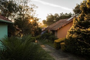 Terrain de l’hébergement 