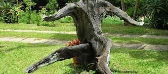 Pousada Nova Gironda