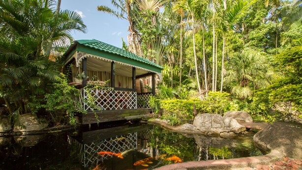 A pond with koi fish, surrounded by lush greenery and a wooden structure with a green roof. - Avalone Guest House (St. Lucia)