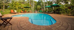 A swimming pool with lounge chairs and umbrellas, surrounded by palm trees. - Avalone Guest House (St. Lucia)
