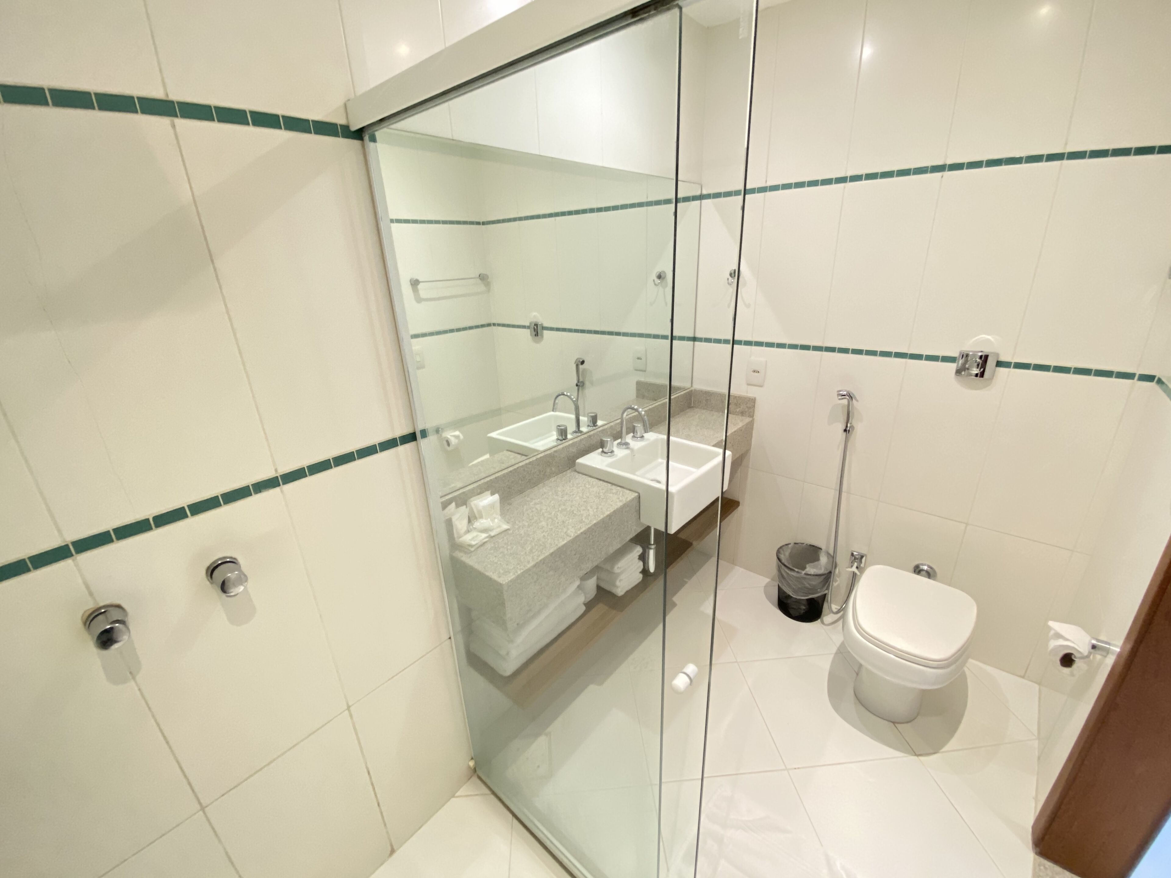 Un baño moderno con ducha envuelta en vidrio, un lavamanos y un inodoro.
