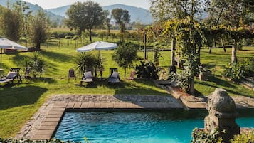 Outdoor pool, a natural pool, sun loungers