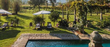 Outdoor pool, a natural pool, sun loungers