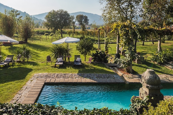 Outdoor pool, a natural pool, sun loungers