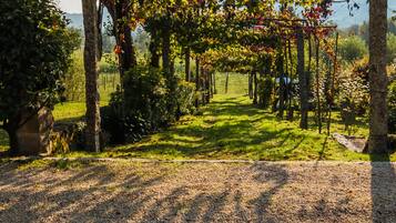 Casa de campo conforto, 2 quartos, cozinha americana | Vista para o jardim