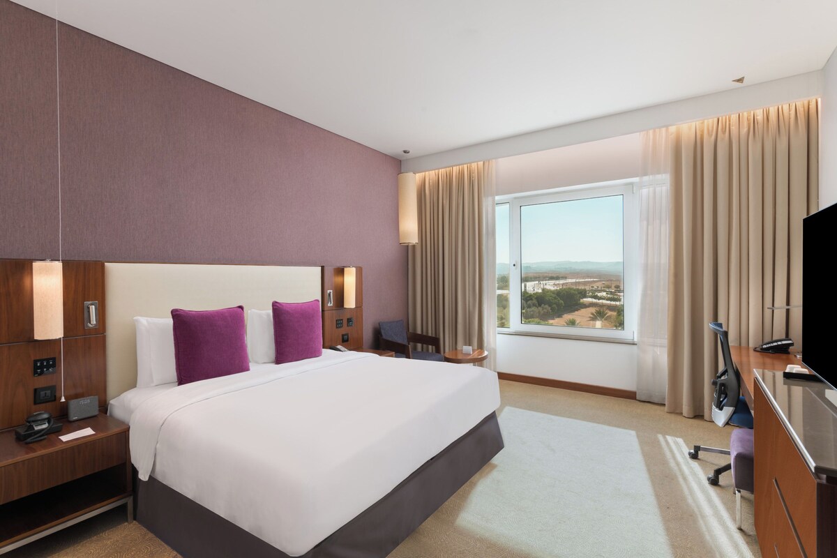 A hotel room with a large bed, a desk, a chair, a television, and a window with a view of the landscape.
