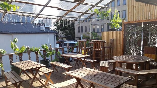 A wooden deck with tables and benches, covered by a transparent roof, surrounded by potted plants and a bamboo fence. - WORLDTRECK DINER & GUESTHOUSE - Pise - Hostel (Nagano)