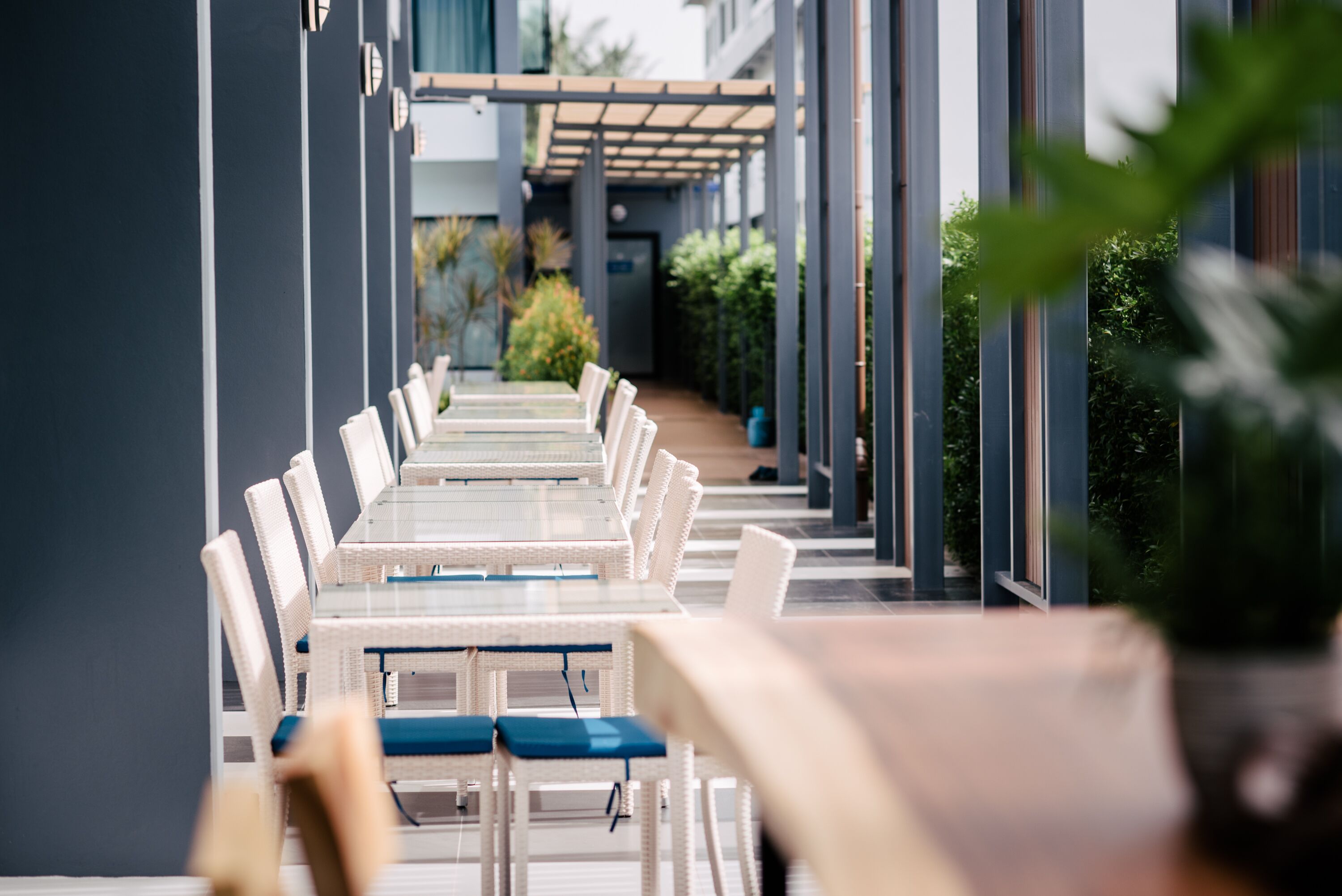 Een rij witte rieten tafels en stoelen met blauwe kussens, buiten opgesteld met uitzicht op groen en een gebouw op de achtergrond.