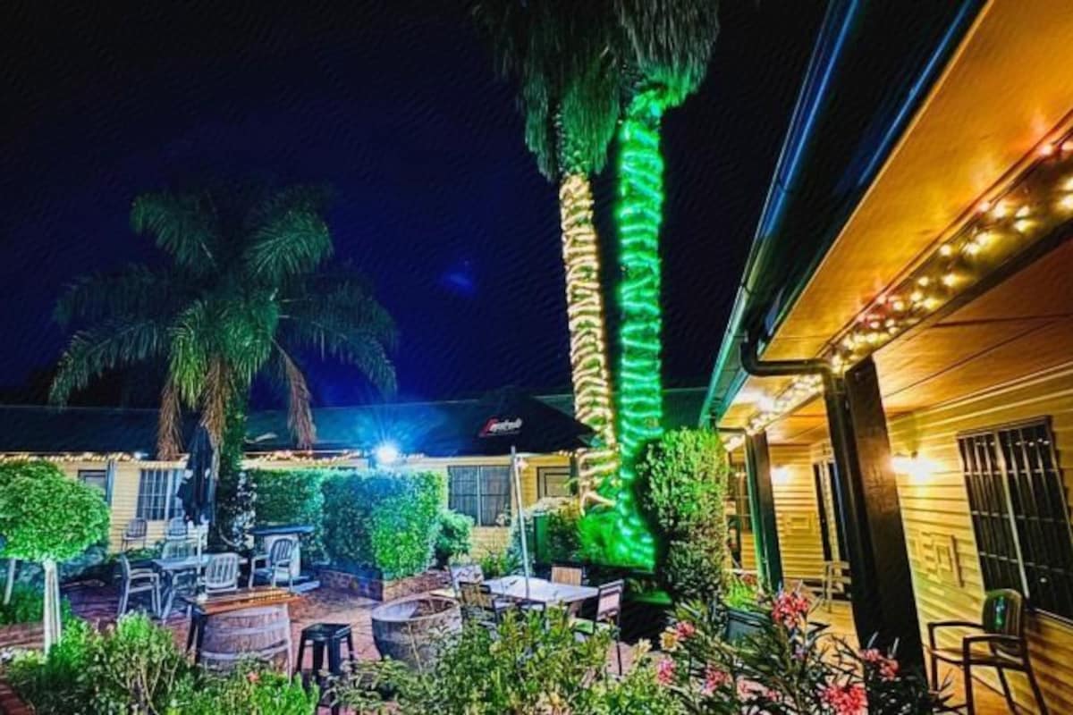 An outdoor patio area with seating, a palm tree, and a building with string lights.