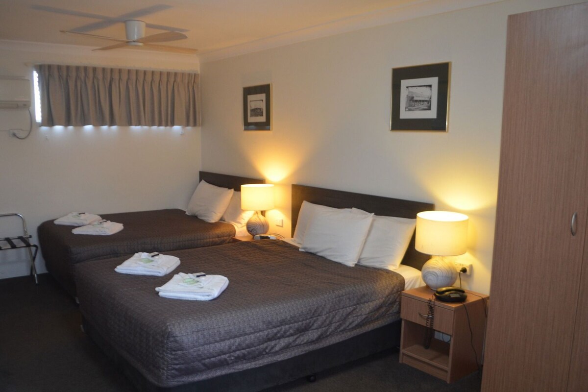 Minibar, desk, iron/ironing board, WiFi (free)