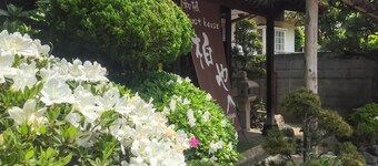 Wafu Guesthouse Kashiwaya - Hostel