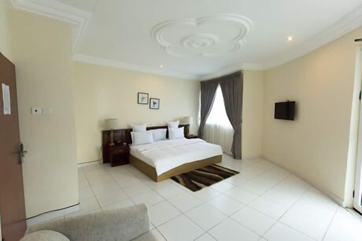 A hotel room with a large bed, a nightstand, a TV, and a window with curtains.