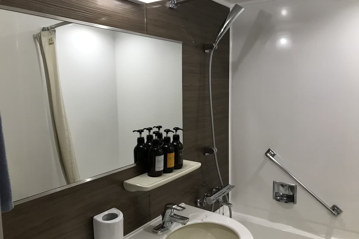 combined shower/bathtub, free toiletries, hair dryer, slippers