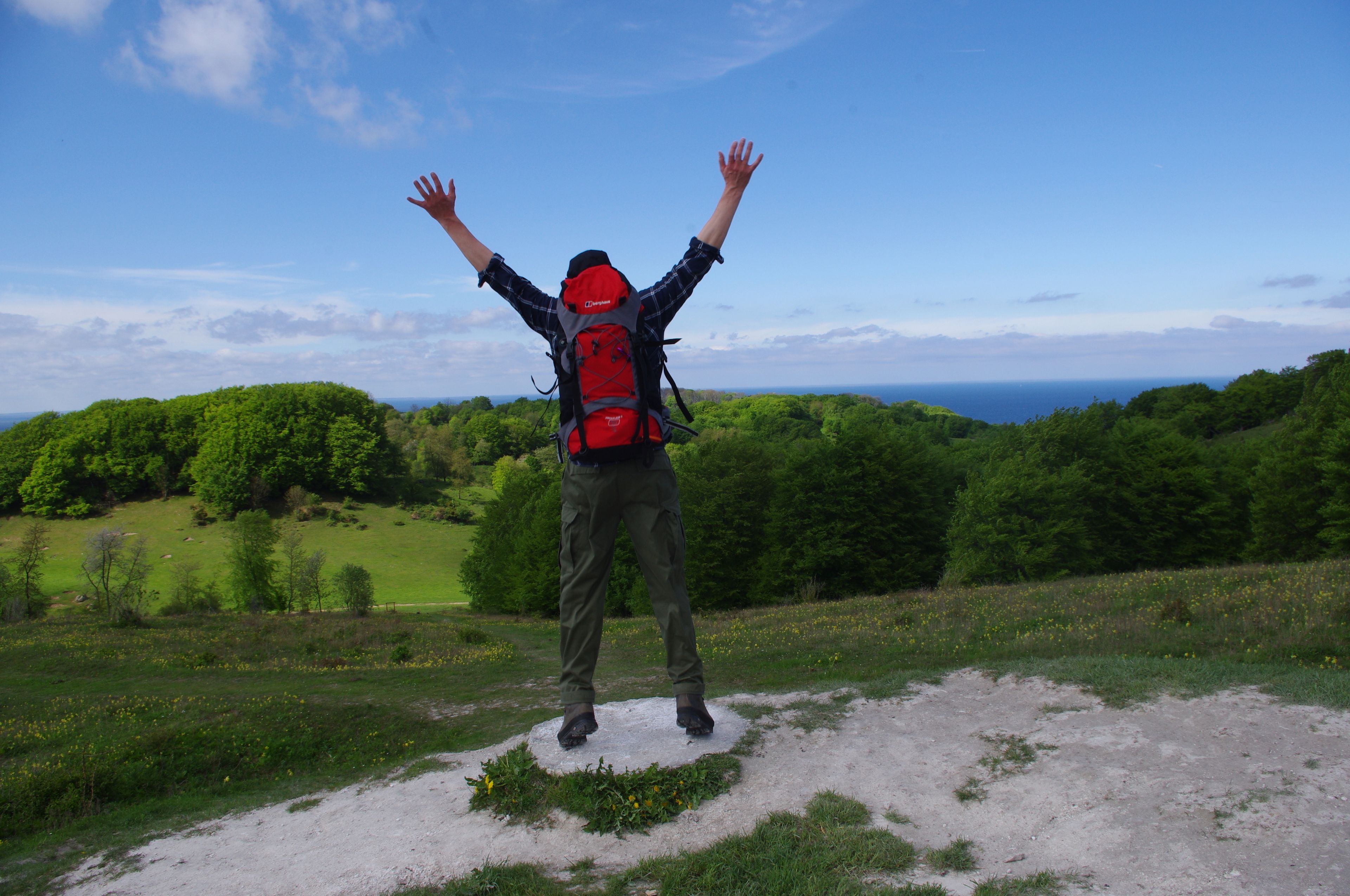 A person standing on a grassy hill with arms raised, wearing a red backpack and green pants.