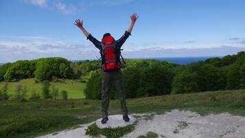 A person standing on a grassy hill with arms raised, wearing a red backpack and green pants.