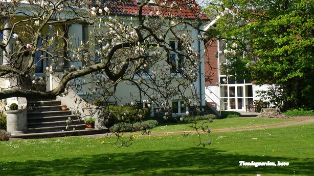 Un bâtiment doté d’un toit rouge, entouré d’une pelouse bien entretenue et d’arbres en fleurs.